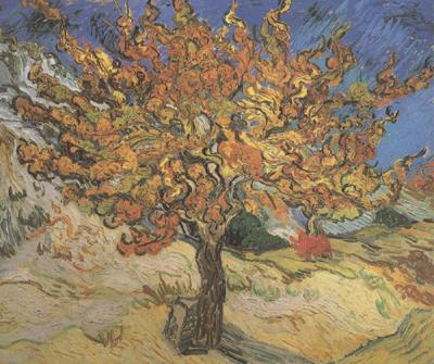 Vincent Van Gogh The Mulberry Tree (nn04) oil painting picture